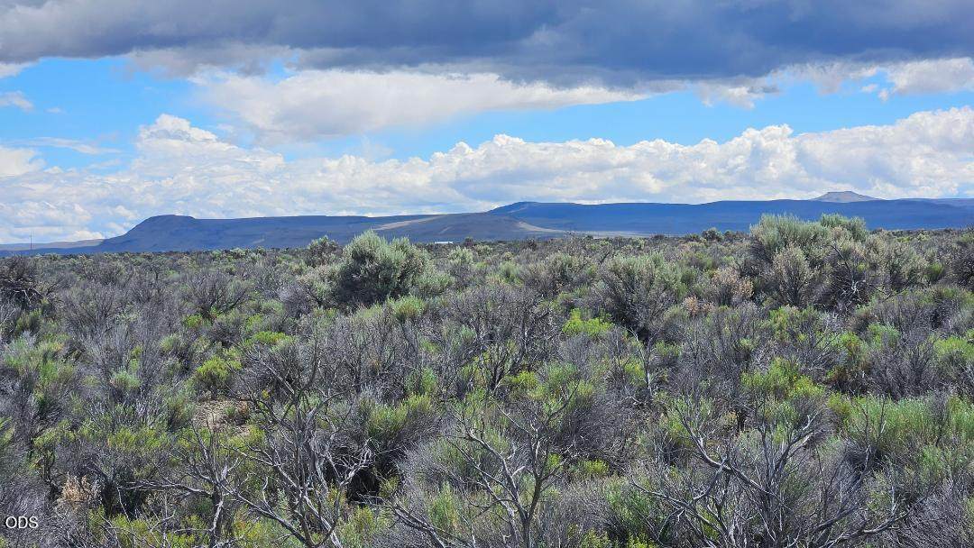 1400 Off Fossil Lake Road - Photo 1