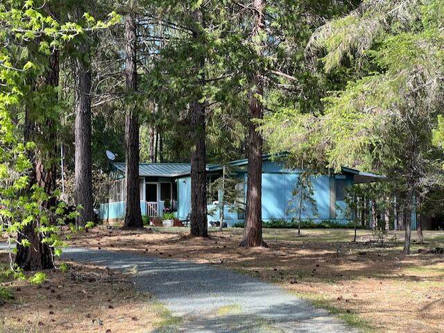 3610 Pleasant Creek Road - Photo 1