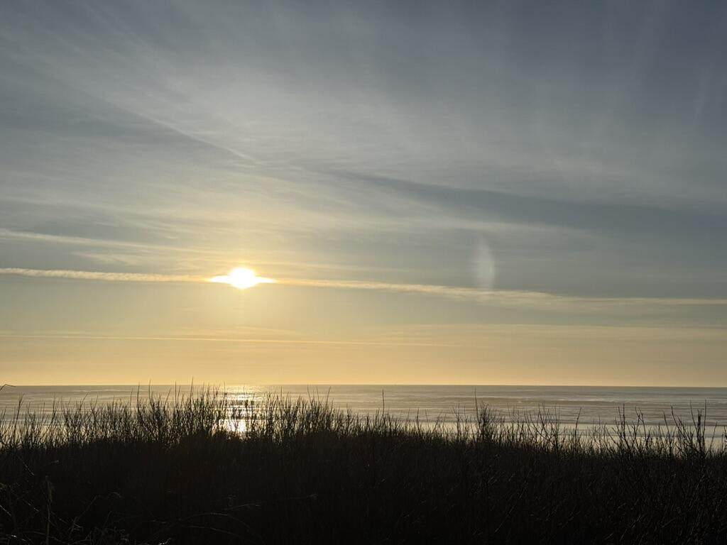 3304 Oceania Drive - Photo 1