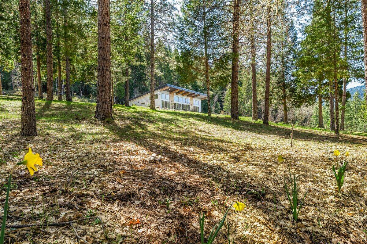 24100 Evans Creek Road - Photo 1