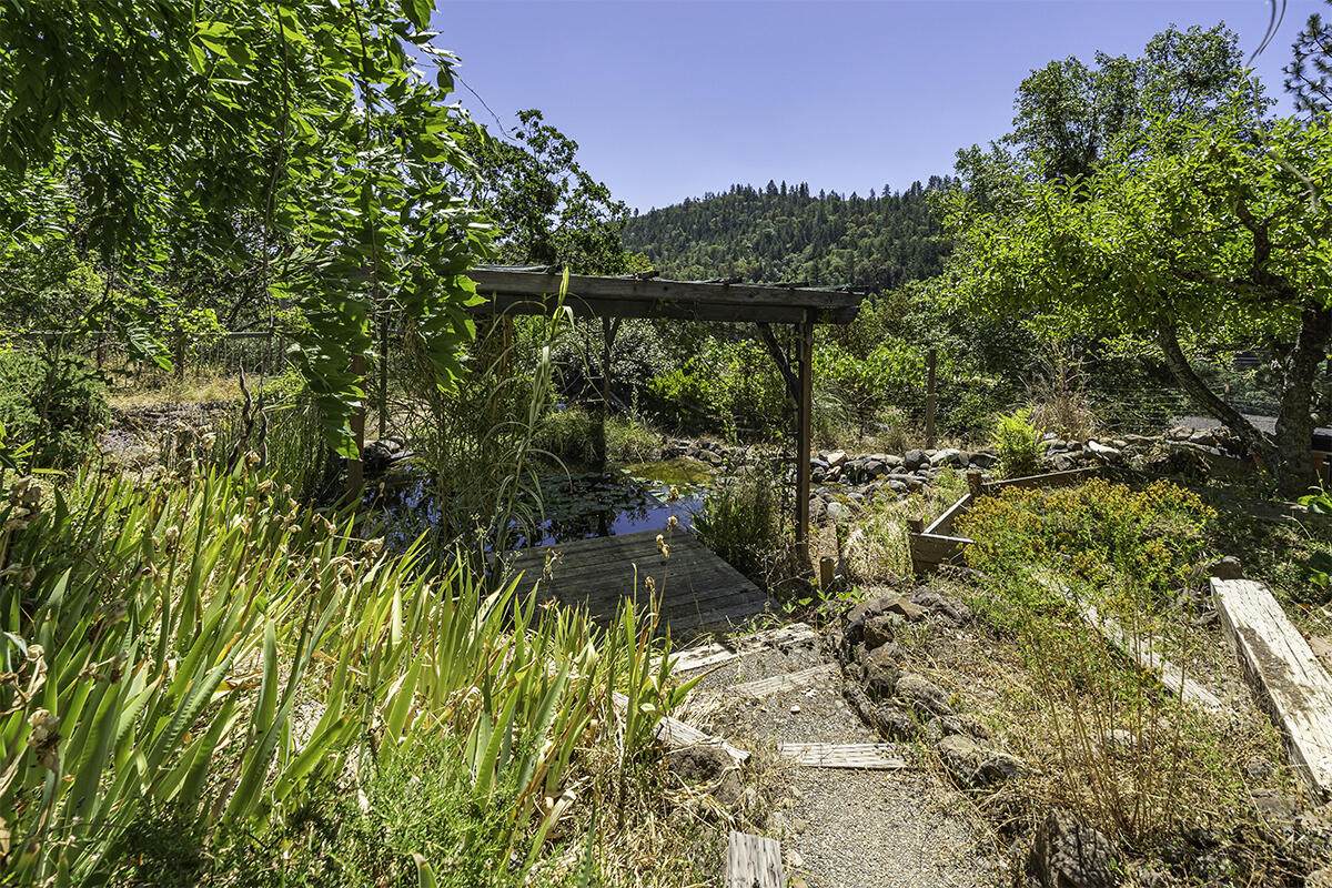 4356 Griffin Creek Road - Photo 1