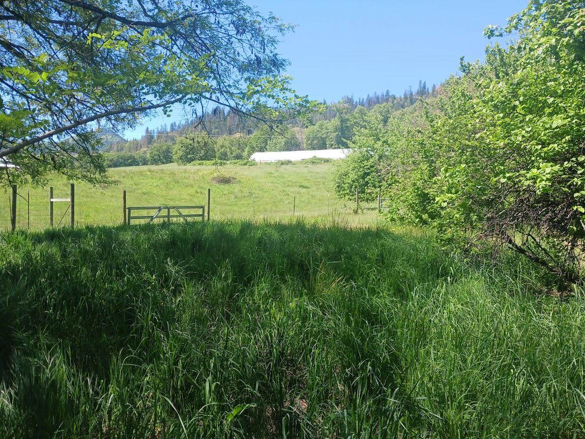 14855 Evan's Creek Road Road - Photo 1