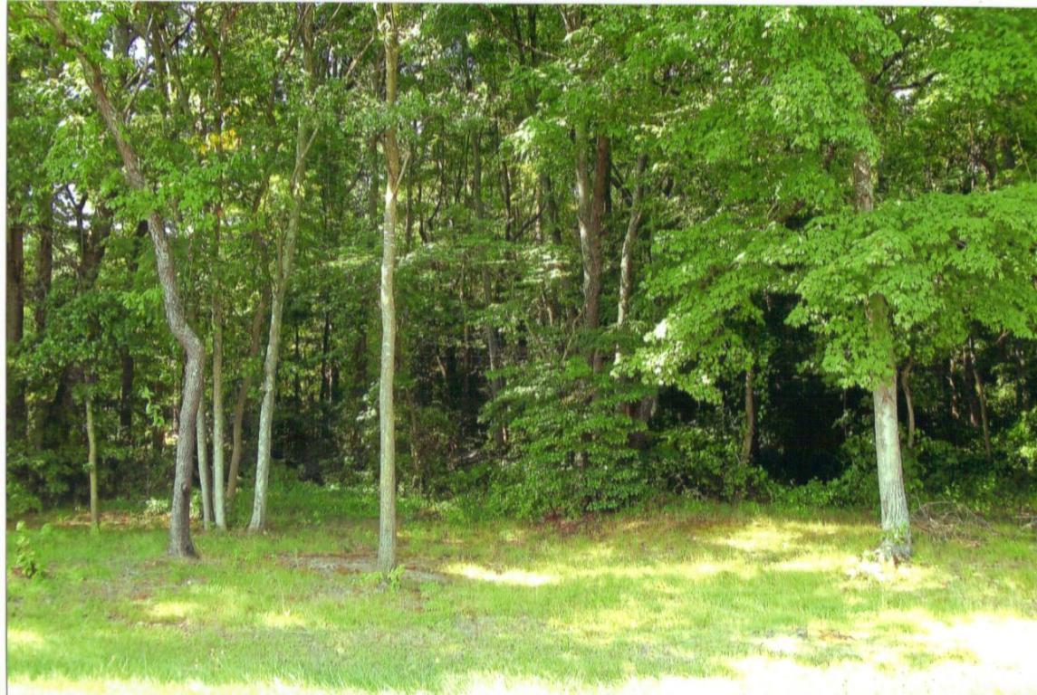 Lot 2 Eden Allen Rd - Photo 1