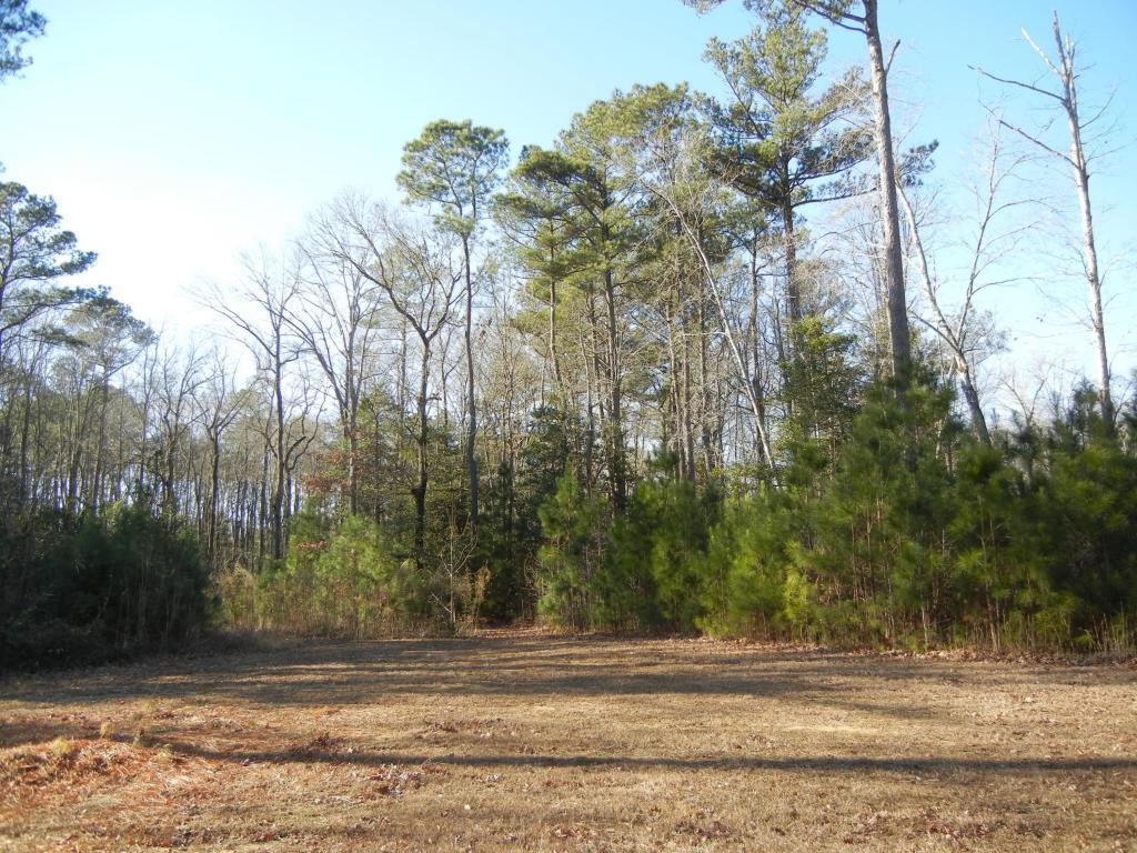 Lot 6 Pristine Place - Photo 1