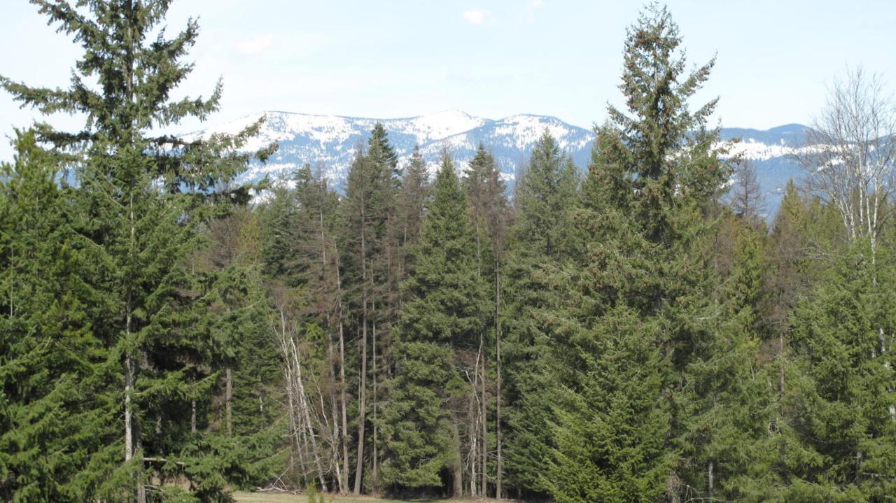 Lot 4 Tarin Ct - Photo 1
