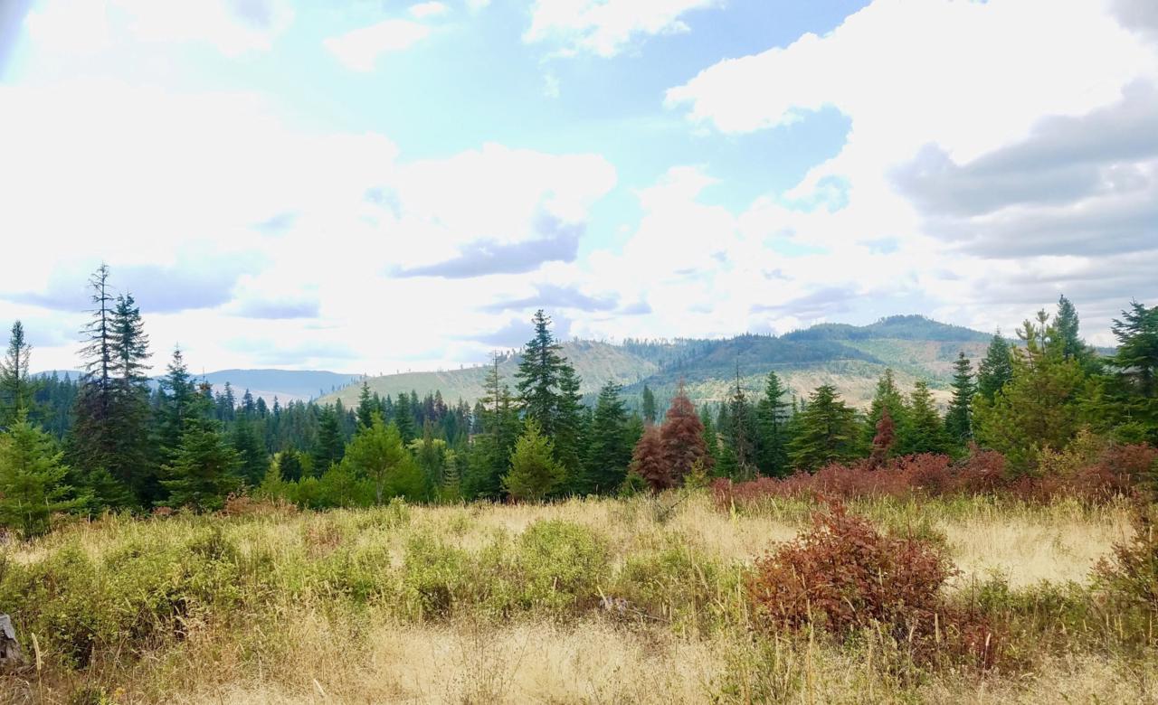 Tract 4 Hidden River Vistas - Photo 1