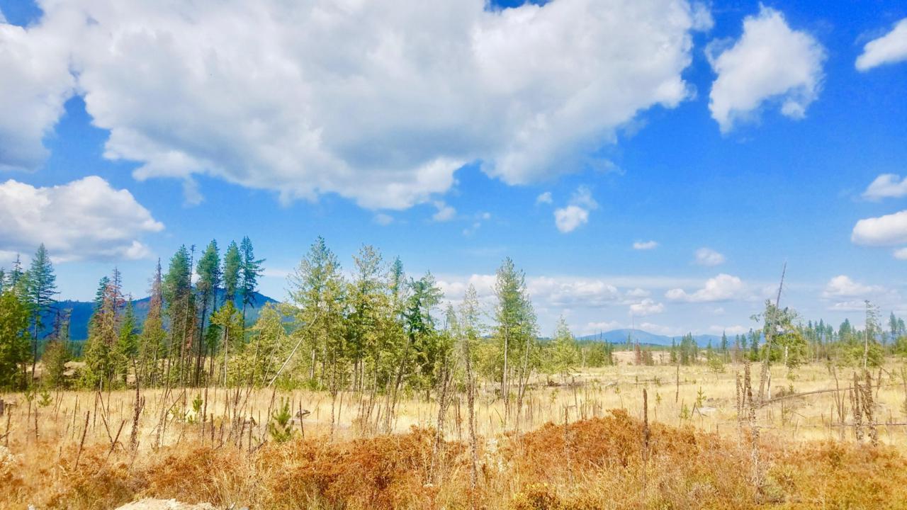 Tract 6 Hidden River Vistas - Photo 1
