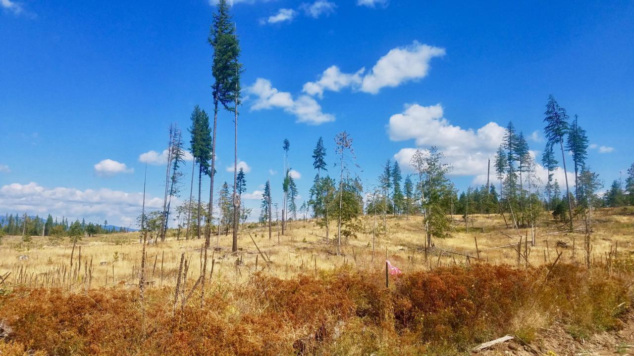 Tract 7 Hidden River Vistas - Photo 1