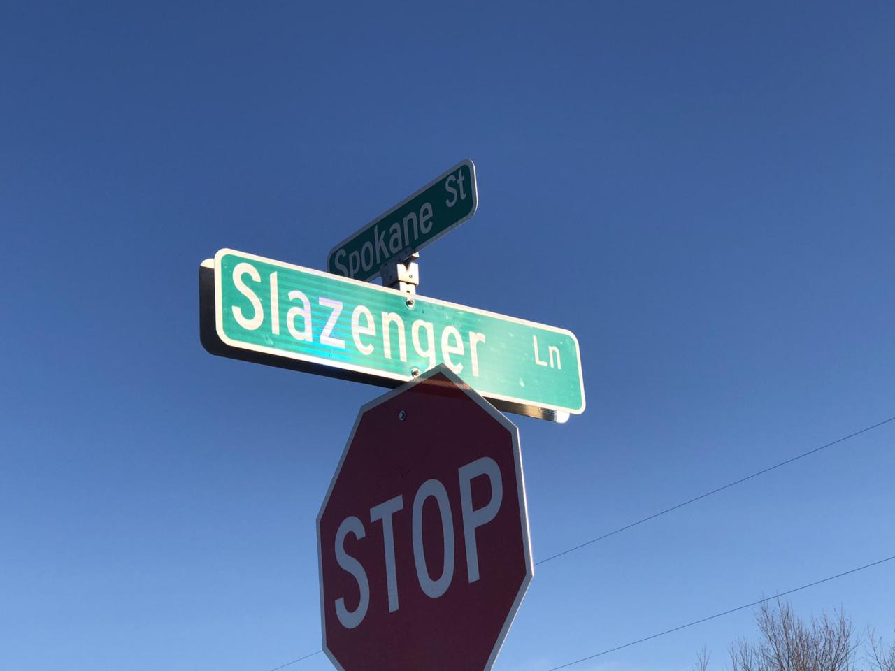 LT 1 BLK 2 Slazenger Ln - Photo 1