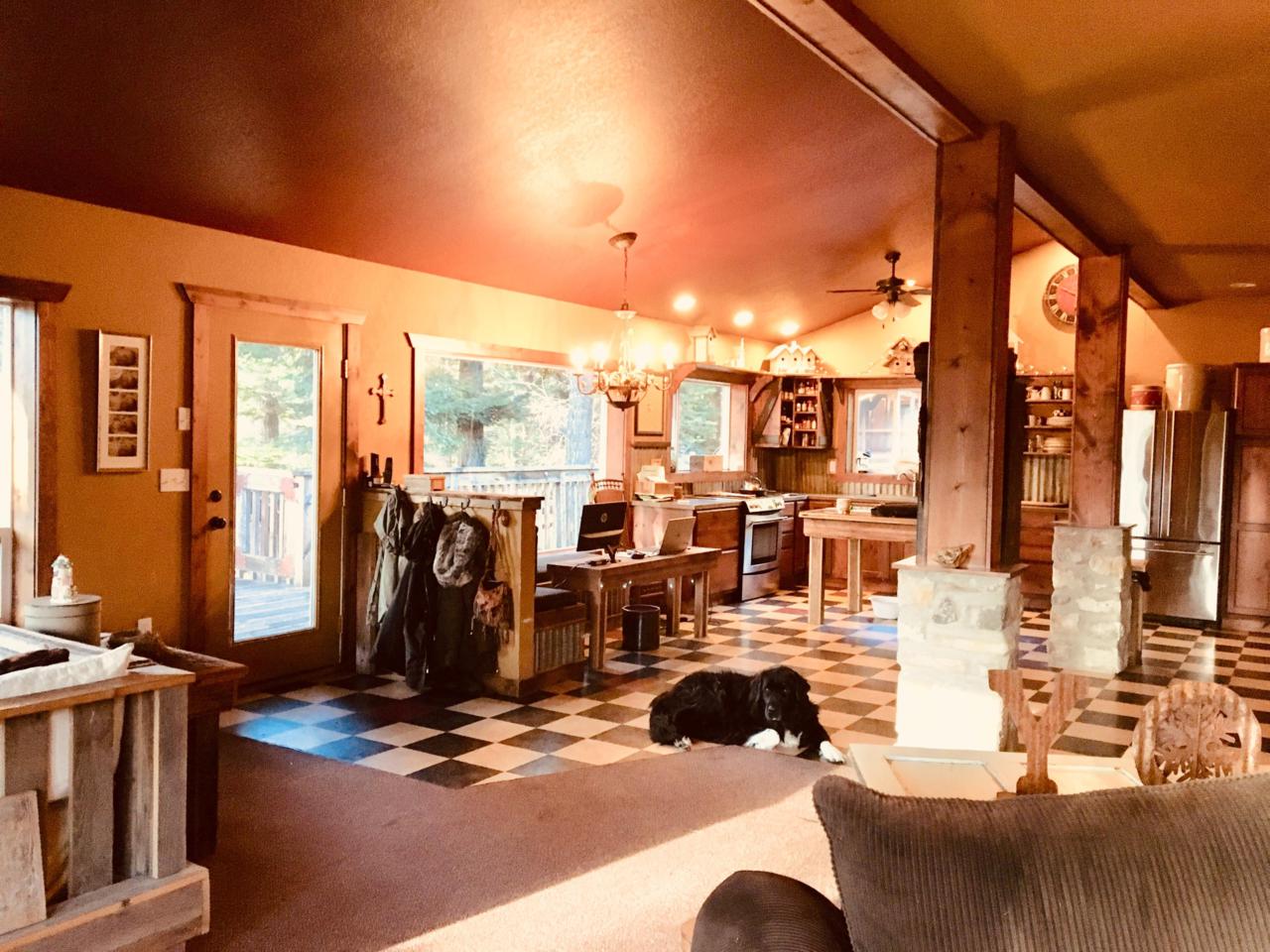 894 Wolf Lodge Creek Rd - Photo 1