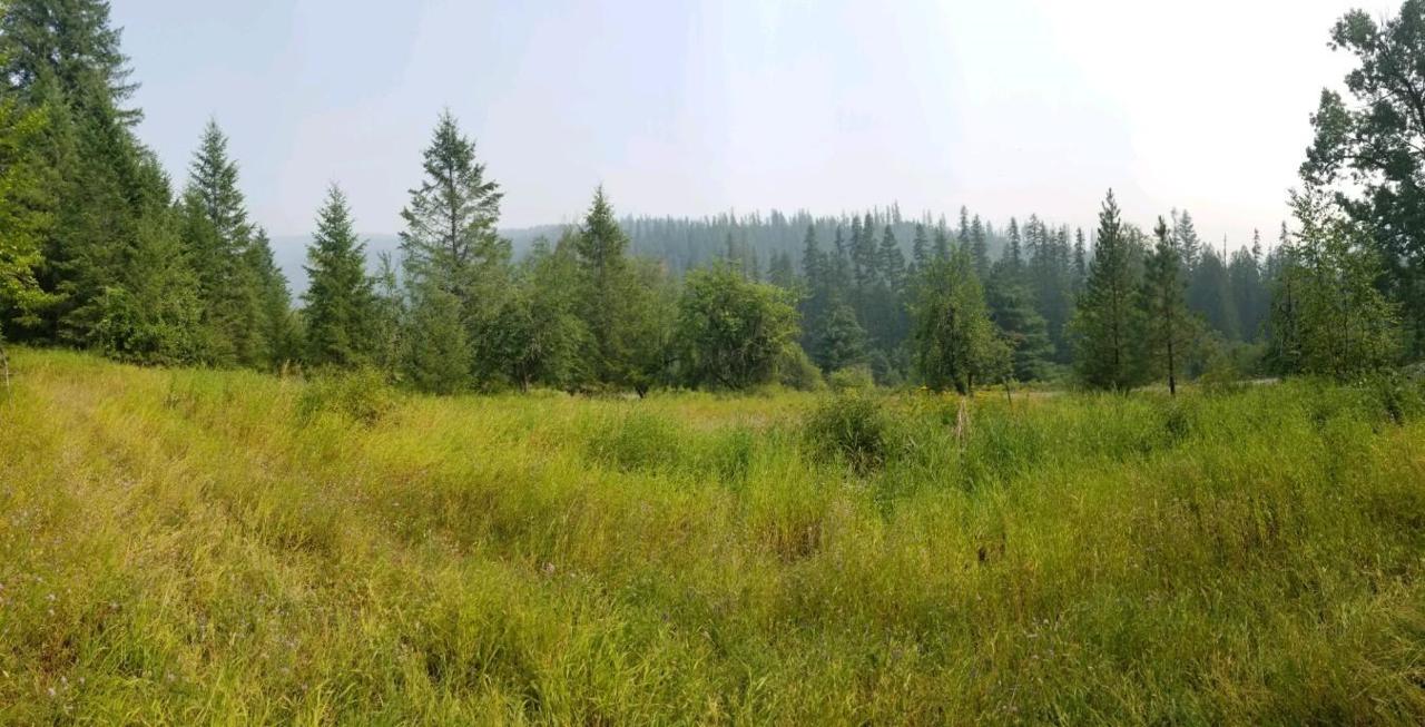 Nna Moyie River Road - Photo 1