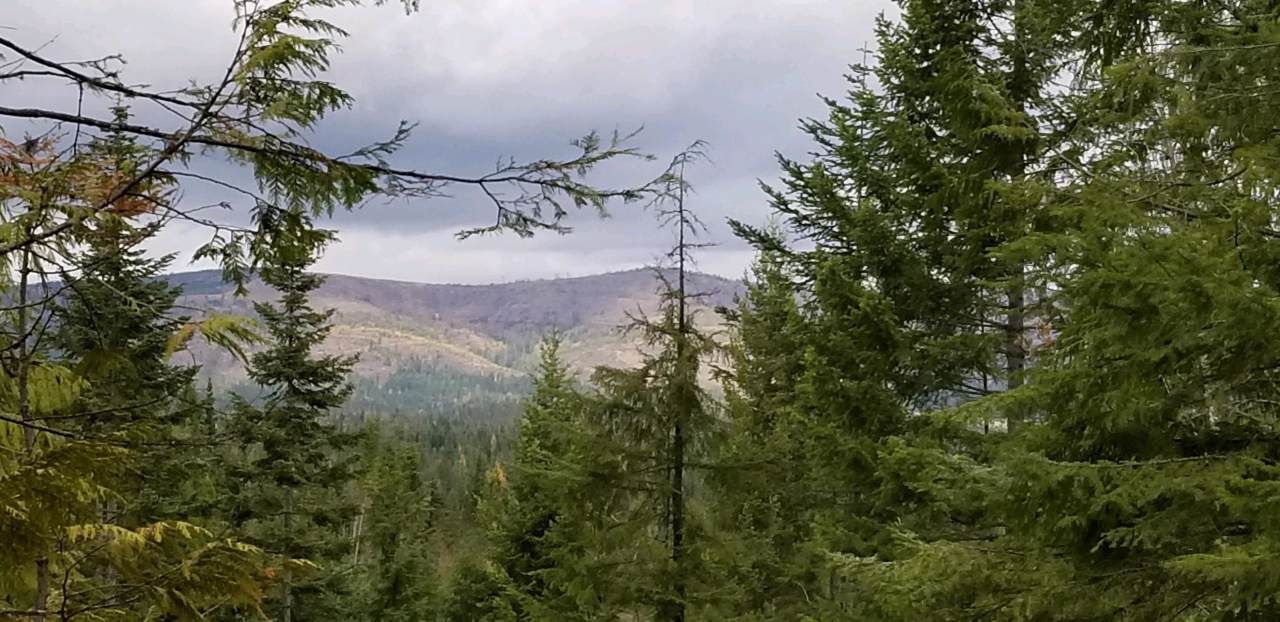 Alder Creek Sub, Tract 46 - Photo 1
