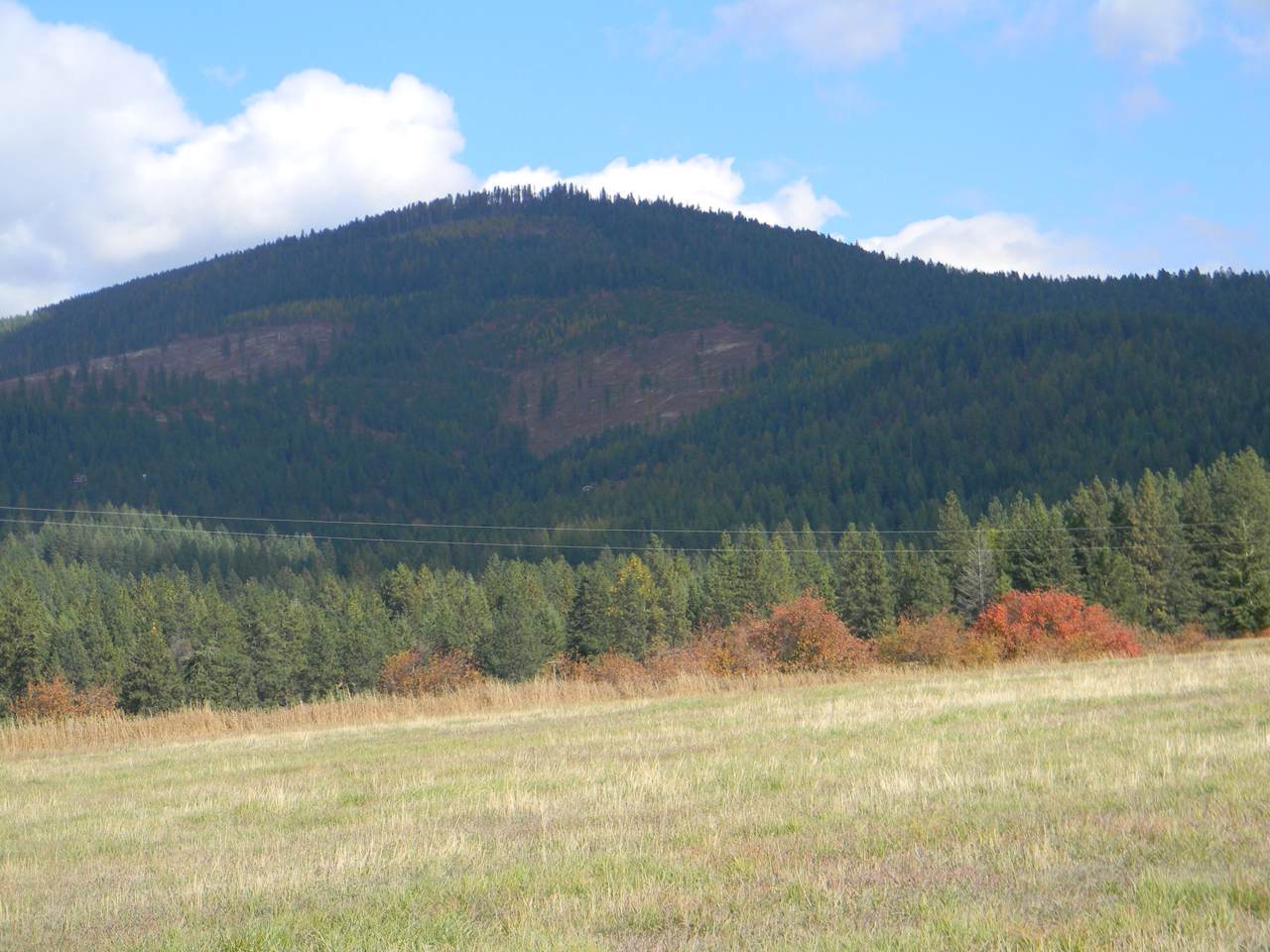 NKA 20 ac. N. Side Moses Mt. Rd. - Photo 1