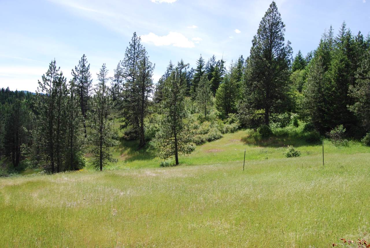 20 Acres 2 Upper Black Lake Rd - Photo 1