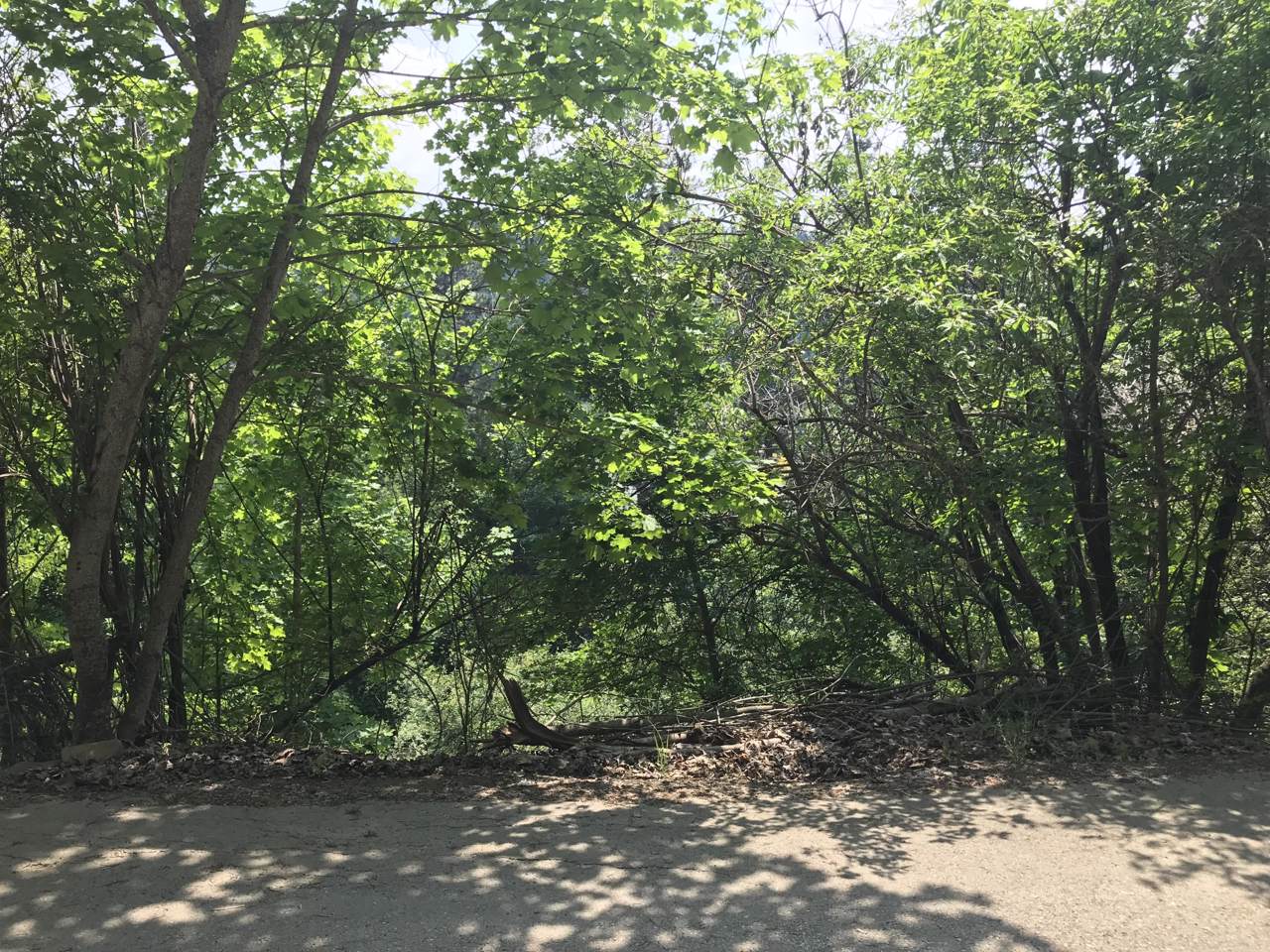 29xx Fernan Terrace Dr. - Photo 1