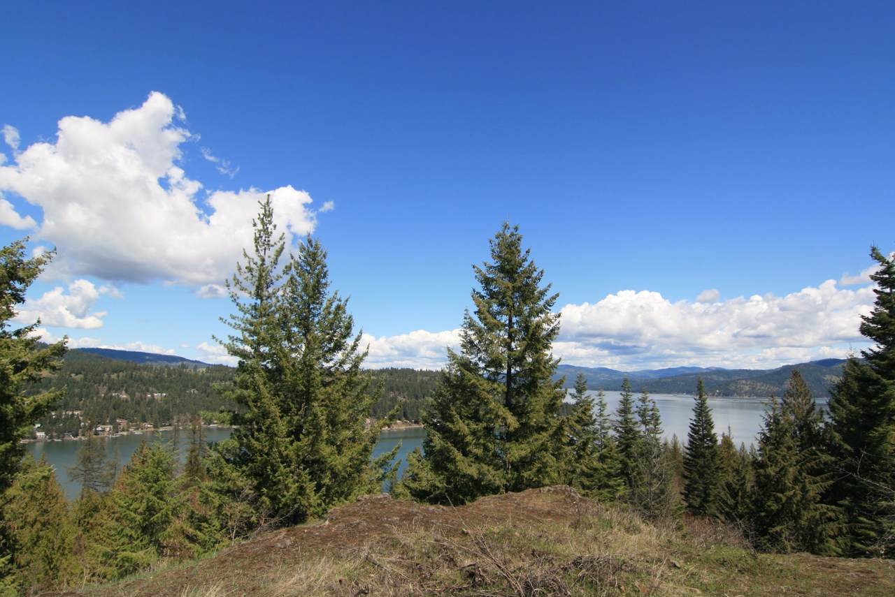 7977 Vision Trail Rd - Photo 1