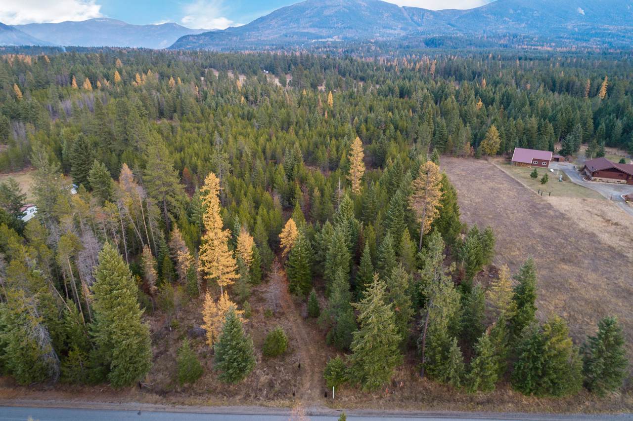 NKA Lewellen Creek Rd - Photo 1