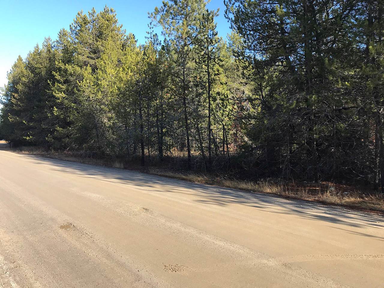 Lot 8 Gun Club Rd & Carter Dr - Photo 1