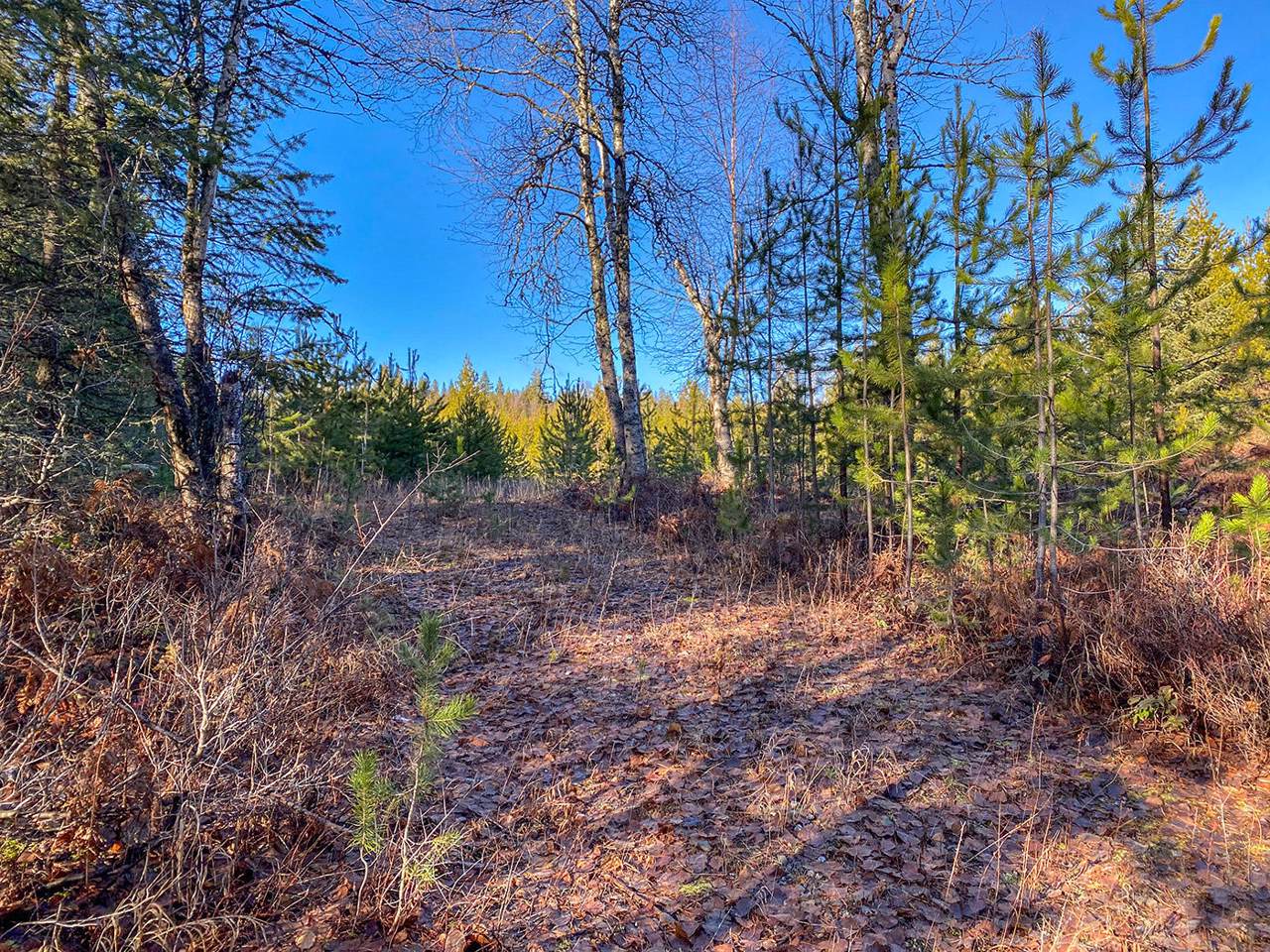 1033 Vertical Dr - Photo 1