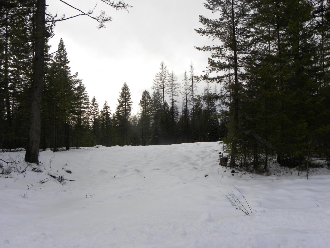 N. Priest River Drive - Photo 1