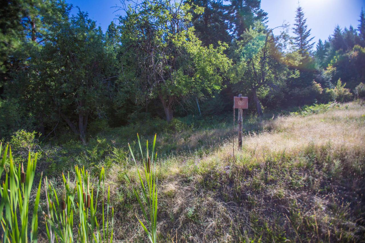 L135 Echo Canyon Ct - Photo 1