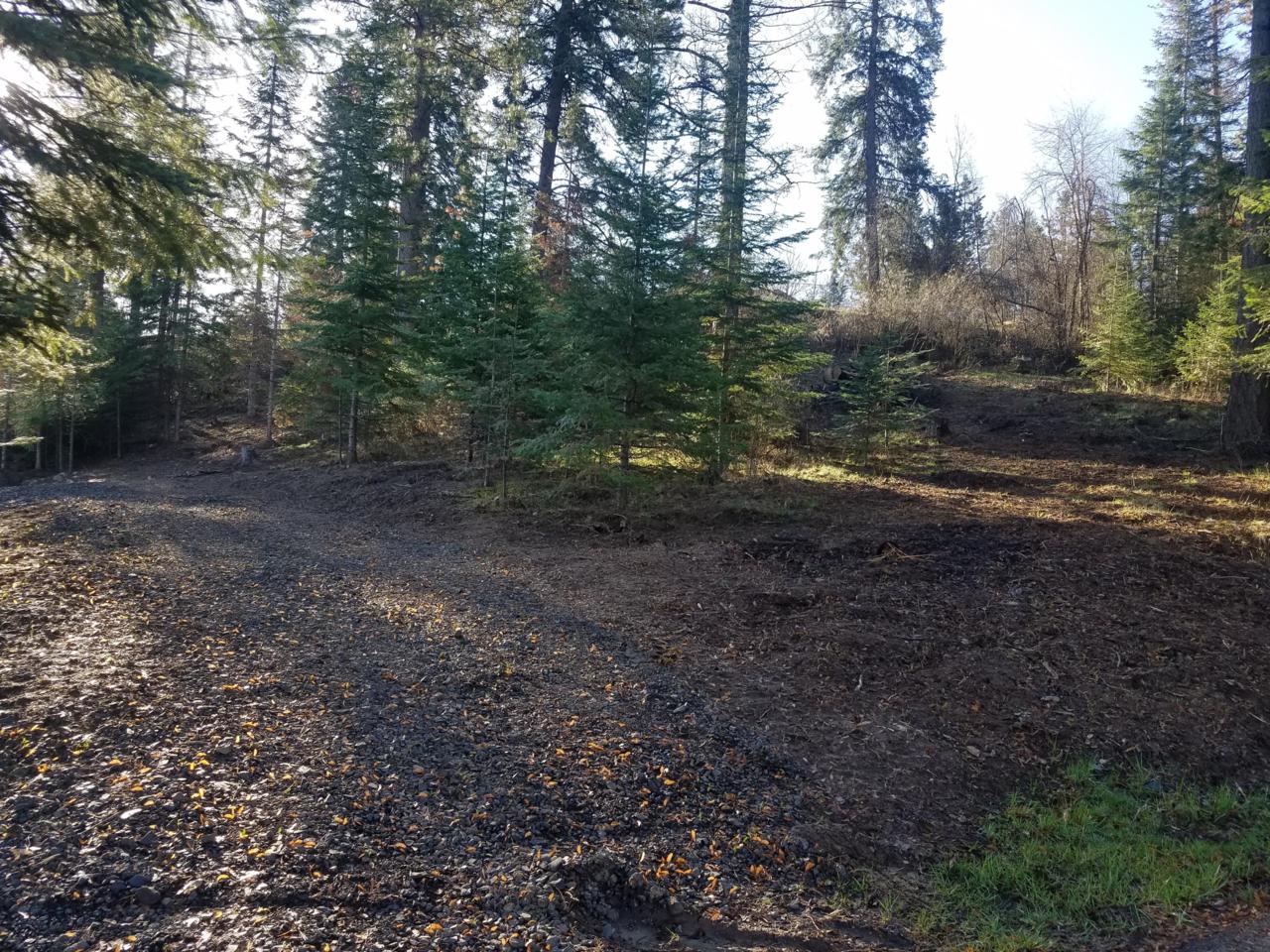 NNA Carroll Heights - Photo 1