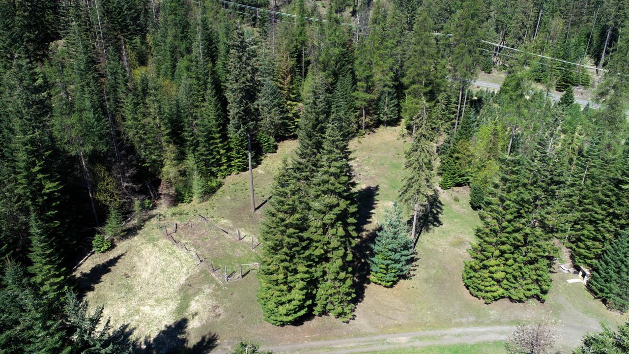 29704 Bella Vista Rd - Photo 1