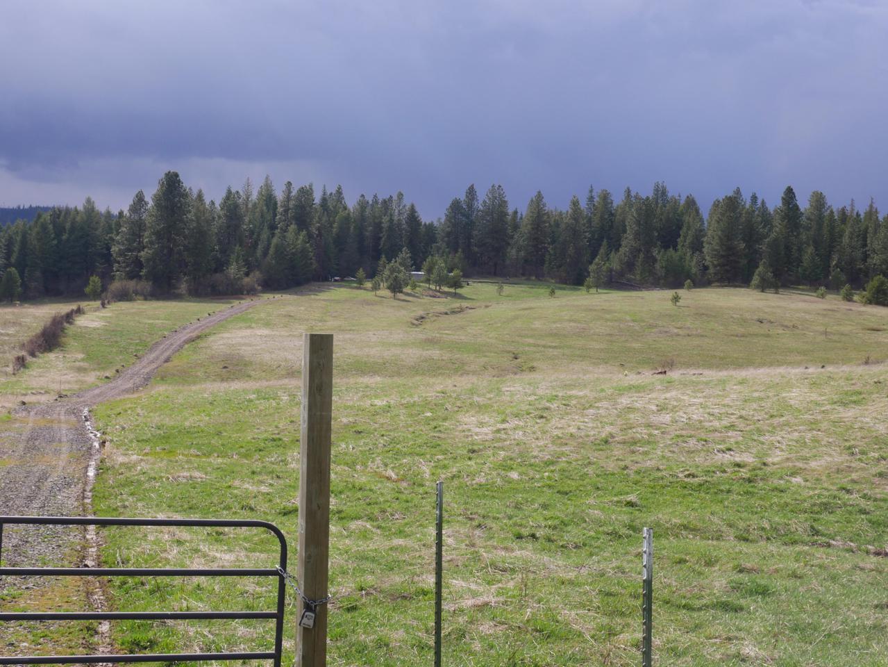 2205 Coon Creek Road - Photo 1