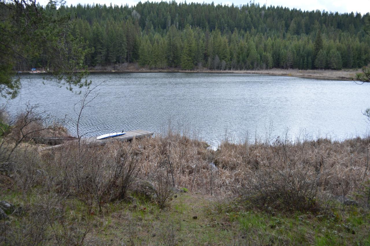 Lot 1 Kelso Lake Rd - Photo 1
