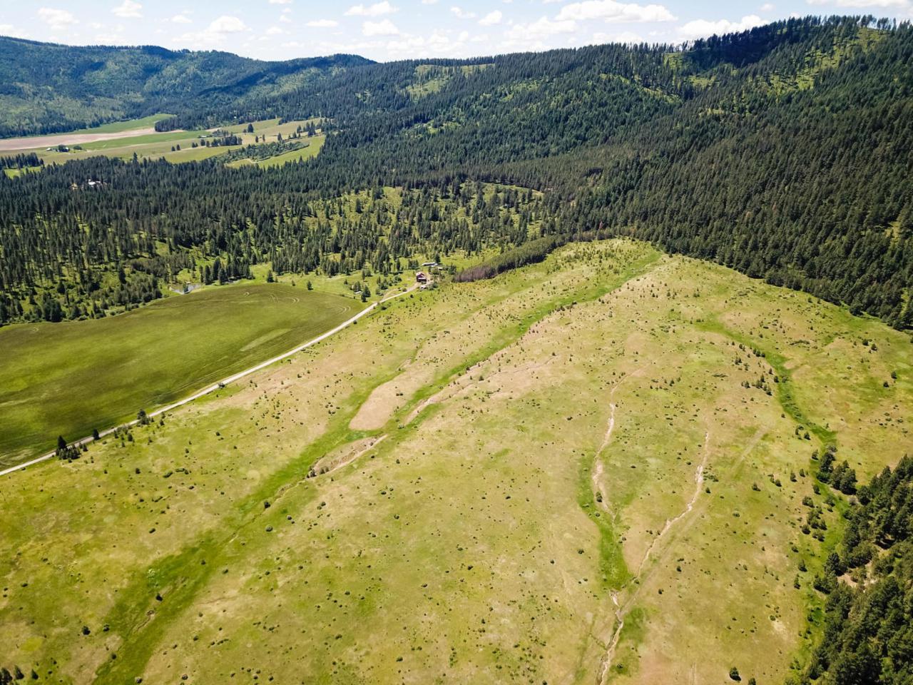 NNA King Valley Road - Photo 1
