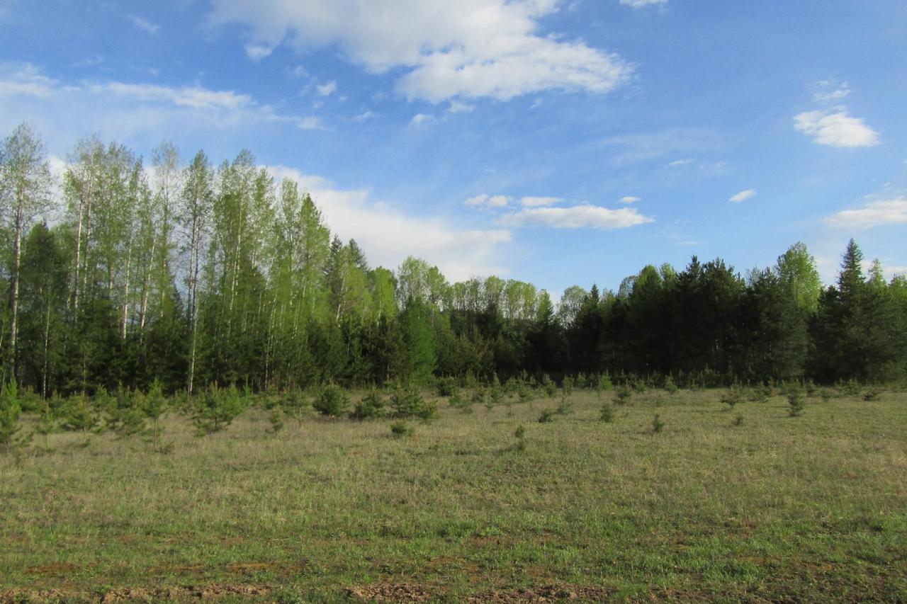 525 All Seasons Road - Photo 1