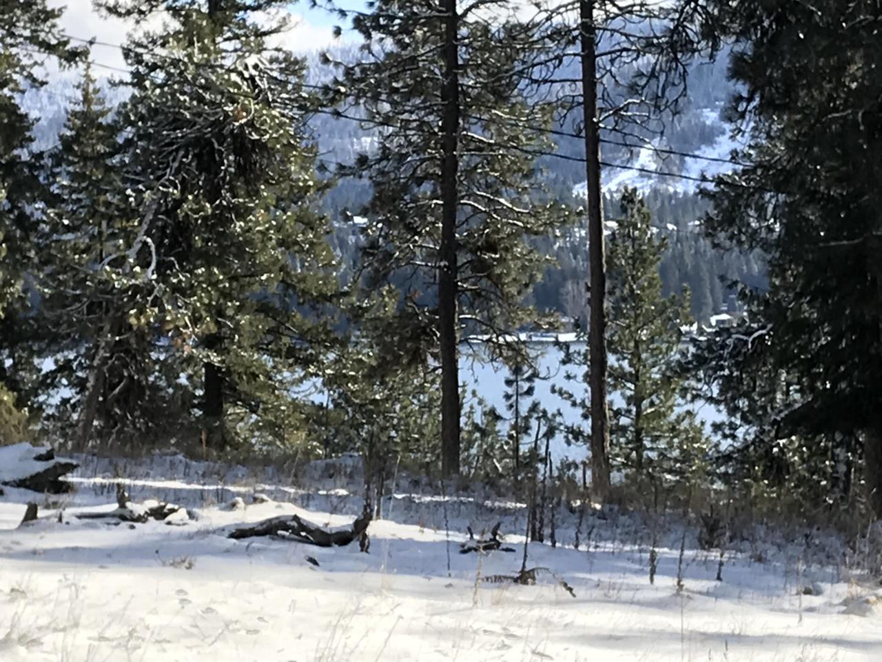 Point Hayden Dr - Photo 1