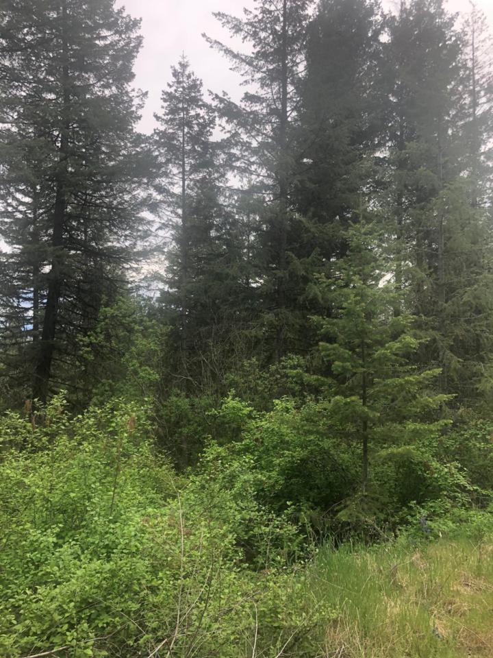 Private Road - Photo 1