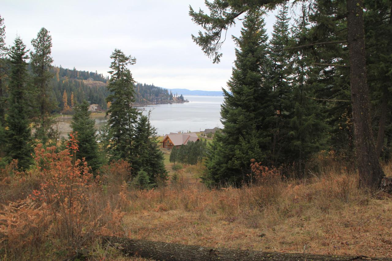 NNA Eddyville Road - Photo 1