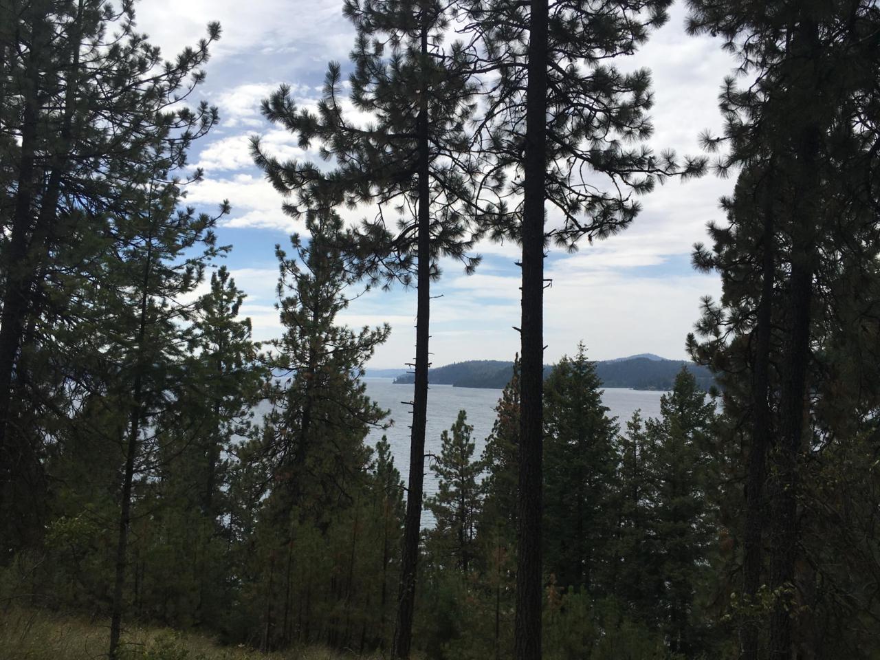 000 Driftwood Heights Dr - Photo 1
