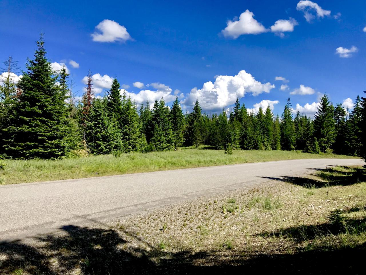 Walking Horse Ln - Photo 1