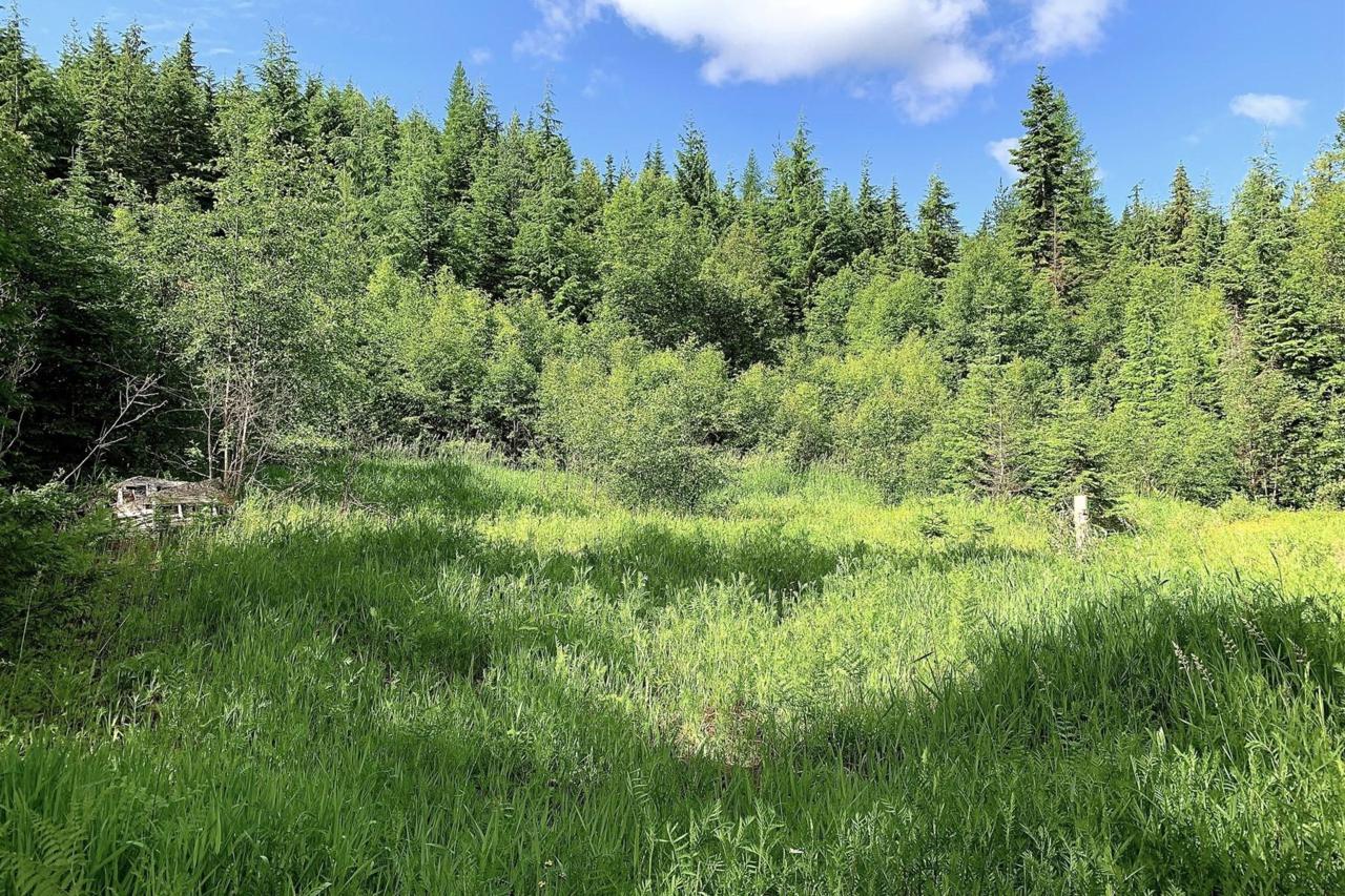 NNA Trapper Creek Rd - Photo 1