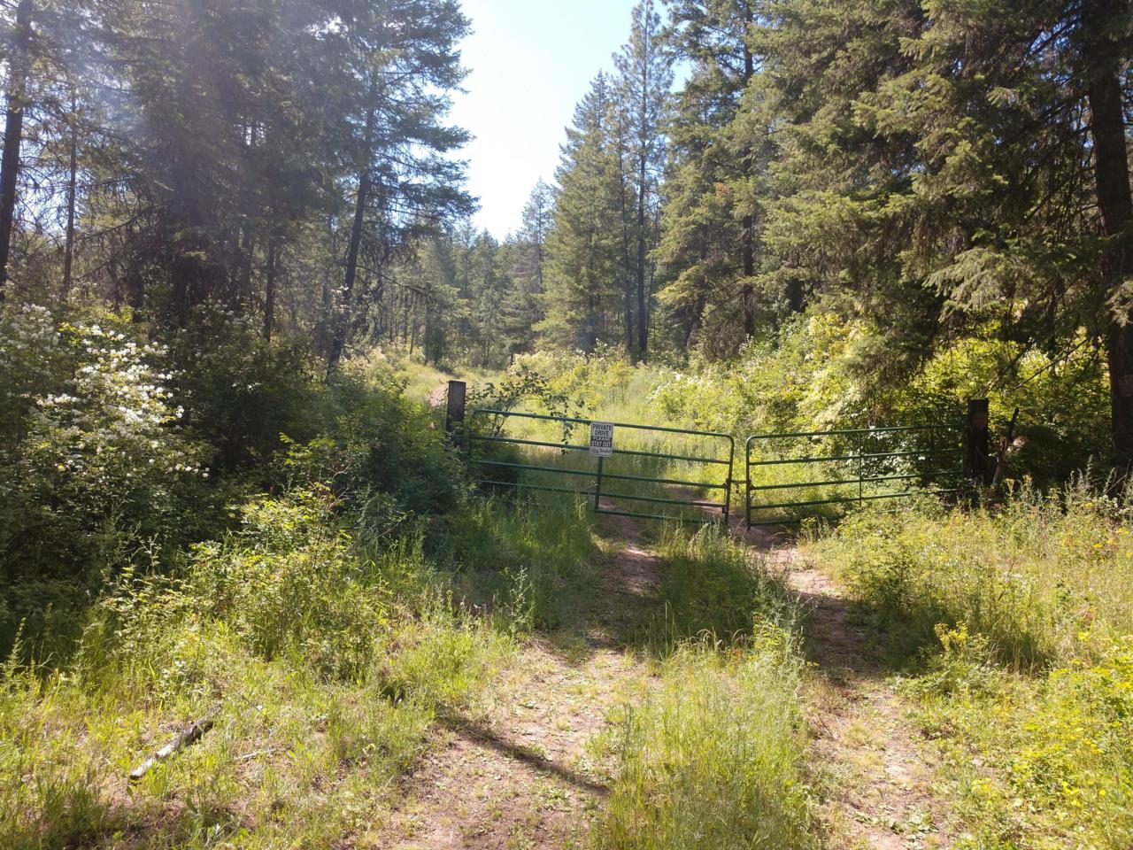 588 Forest Way - Photo 1