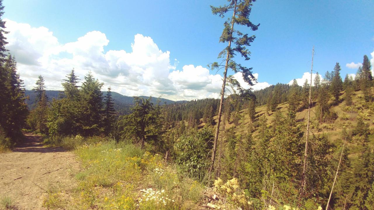 Saddleback Dr. - Photo 1