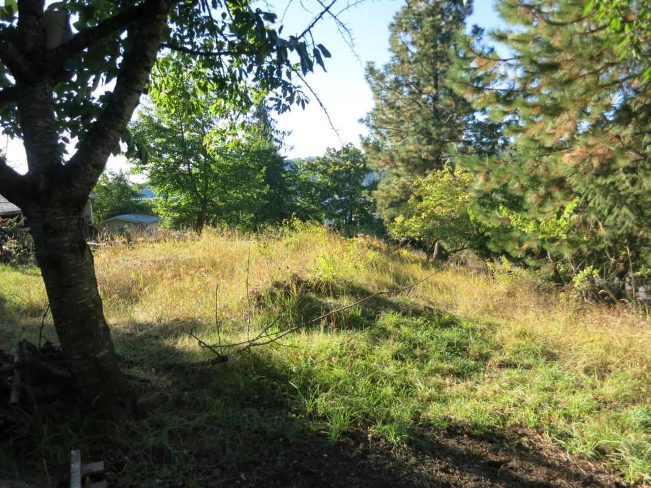 NKA Lincoln Ave - Photo 1