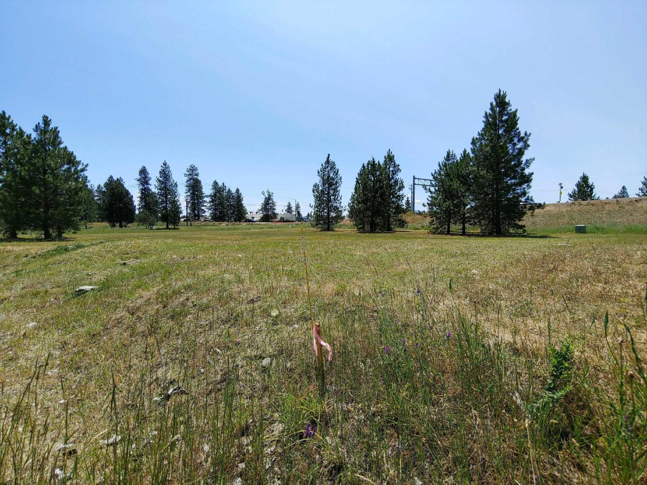 TBD Heritage St - Photo 1