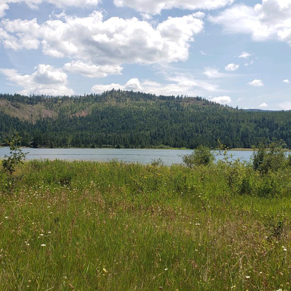 NKA River Run Drive - Photo 1