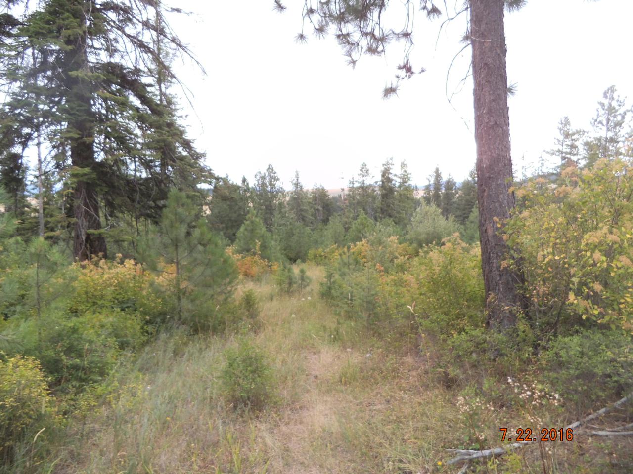 Radford Lane - Photo 1