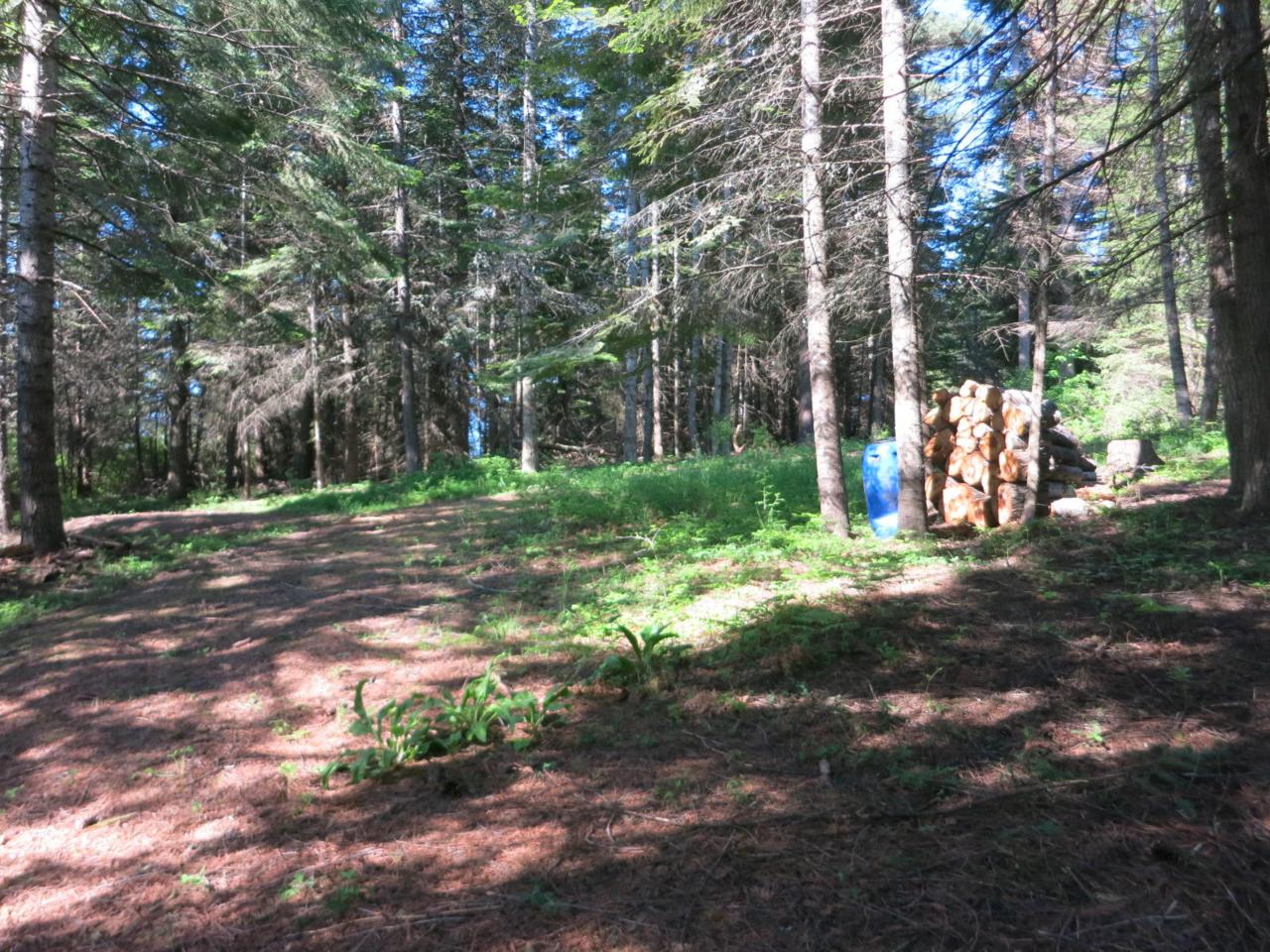 Nka Canyon Creek - Photo 1
