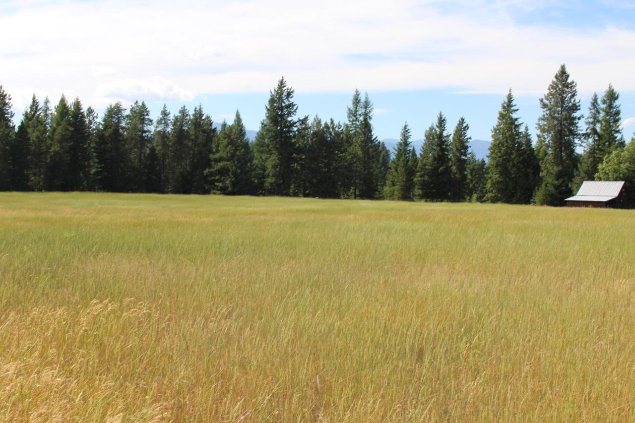 NkA Red Cloud Rd - Photo 1