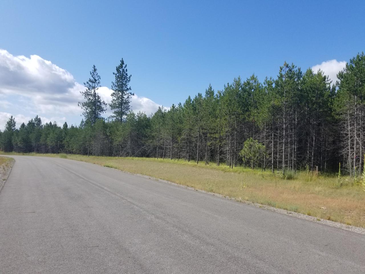 NKA Silent Pines Rd - Photo 1