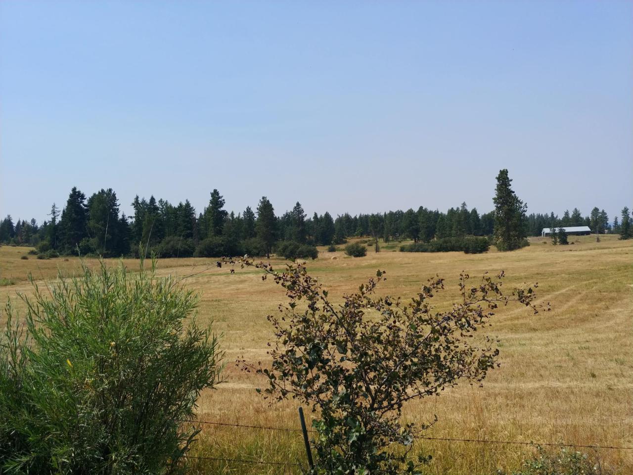 54319 Hwy 97 - Photo 1