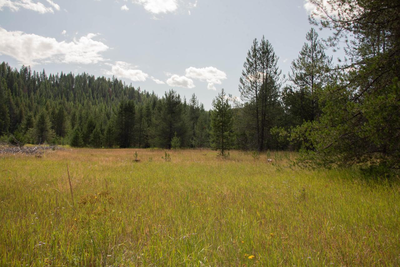 NKA Dubius Creek Rd - Photo 1
