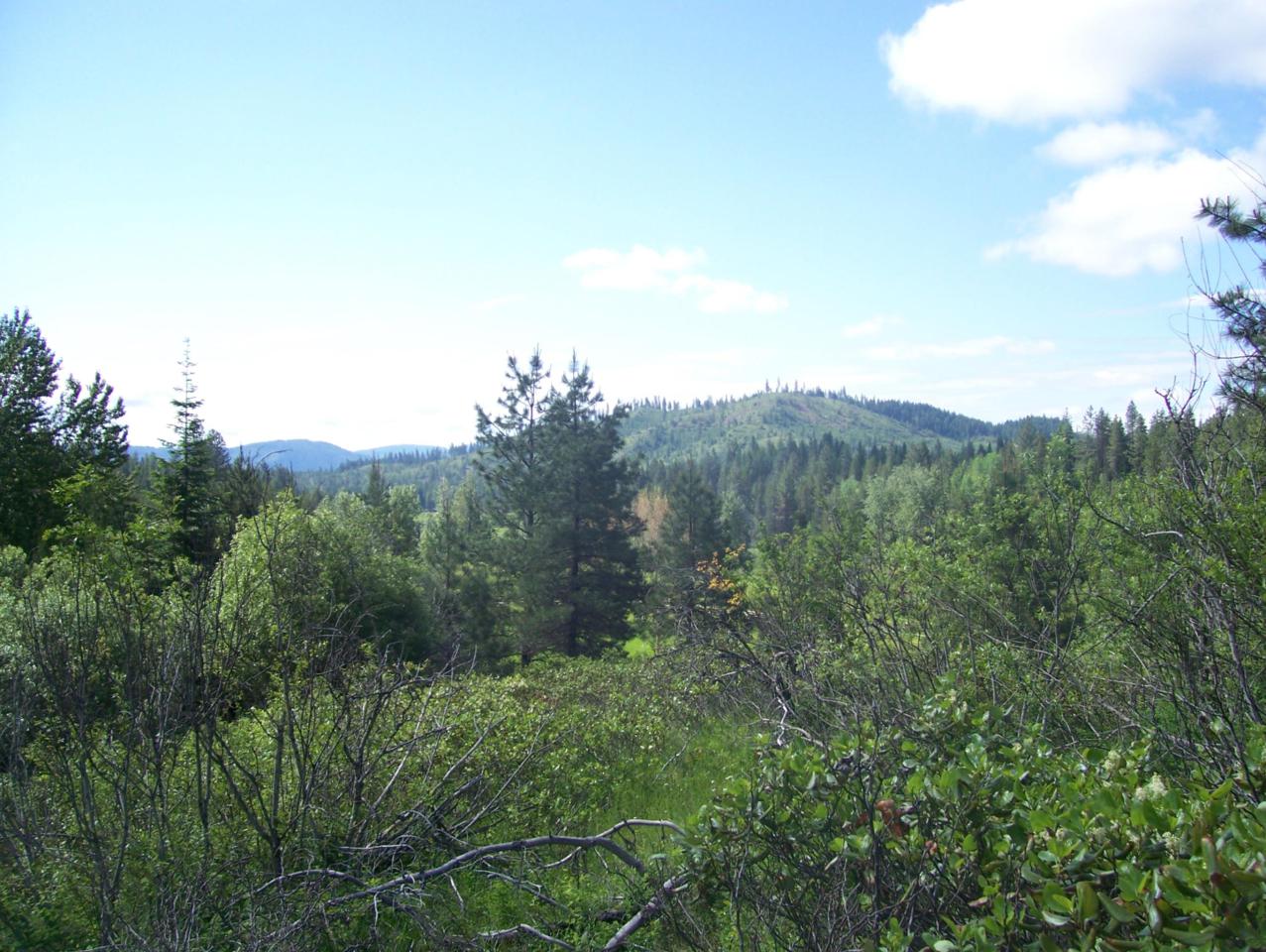 0000 Deer Valley Rd - Photo 1