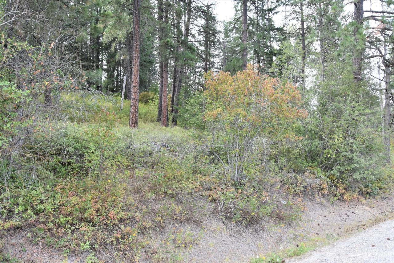 NNA Lower Syringa Road - Photo 1